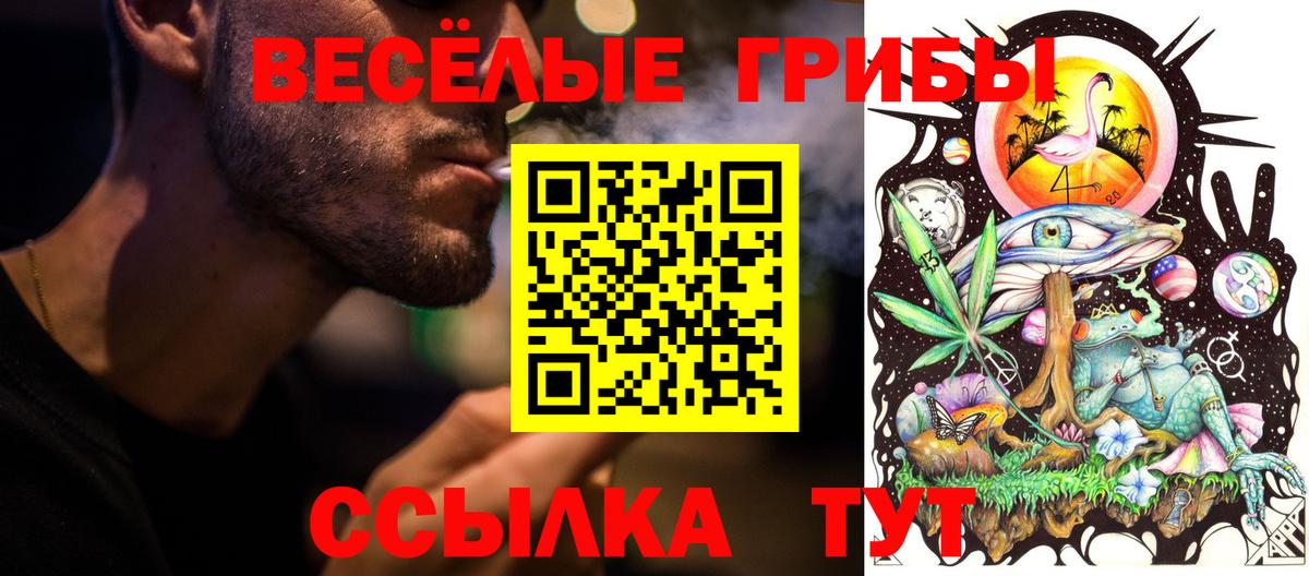 Галлюциногенные грибы Psilocybine cubensis  купить  цена  Котельники  Вход с VPN 