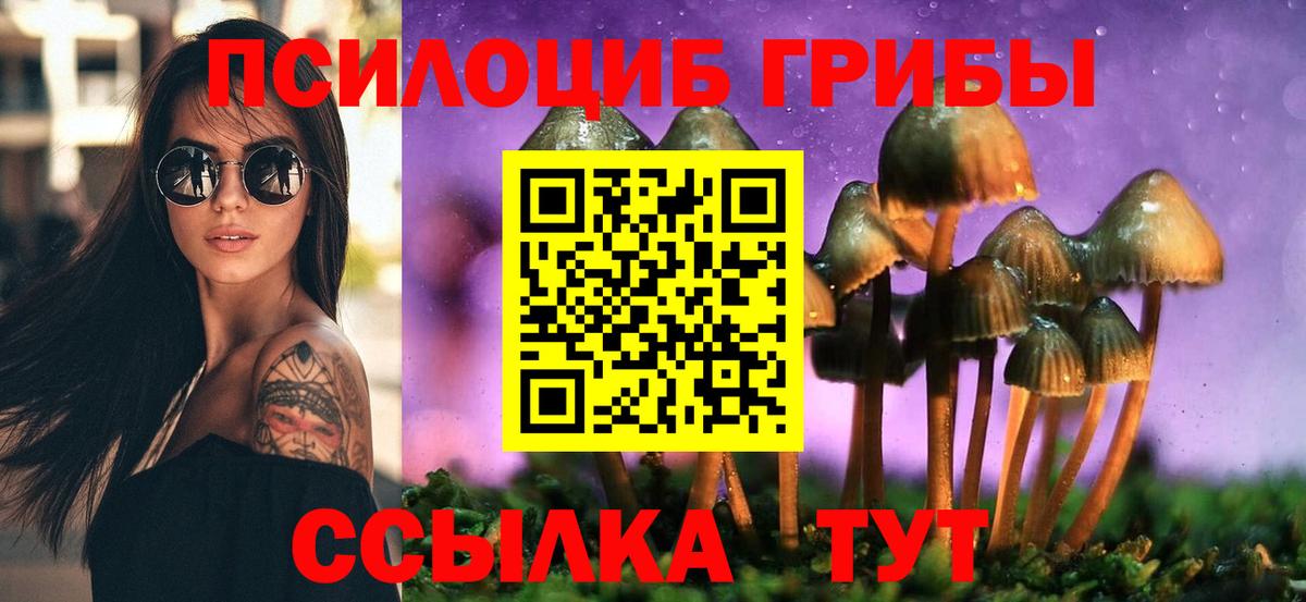 Галлюциногенные грибы GOLDEN TEACHER  где можно купить наркотик  Котельники 