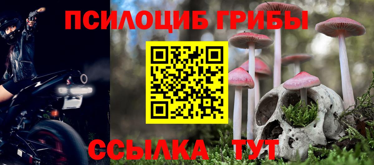 Галлюциногенные грибы ЛСД Котельники