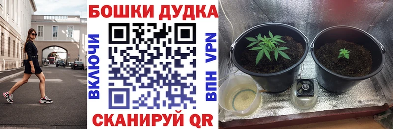 Марихуана индика  где продают наркотики  ОМГ ОМГ как войти  Котельники 